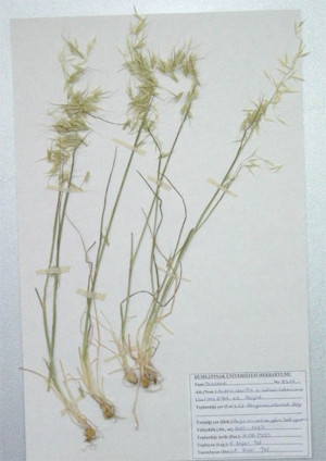 22L.jpg © U.S. Department of the Interior