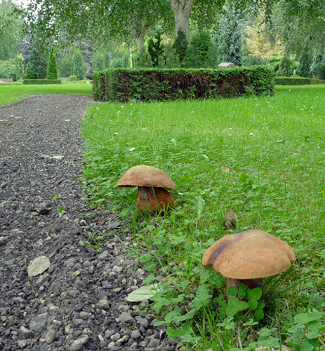 Suillellus luridus, JHP-09.366 &copy; MycoKey / Jens H. Petersen