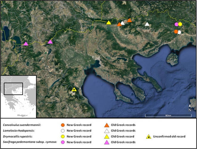 Drymocallis rupestris (L.) Soják, 1989 &copy; Doumas P, Goula K, Constantinidis T