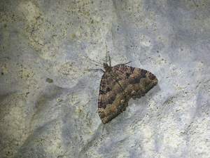 Incertaine (L'), Dent-de-Scie (La), Douteuse (La) - Grotte aux corneilles - Champsaur © Marc Corail - Parc national des Ecrins